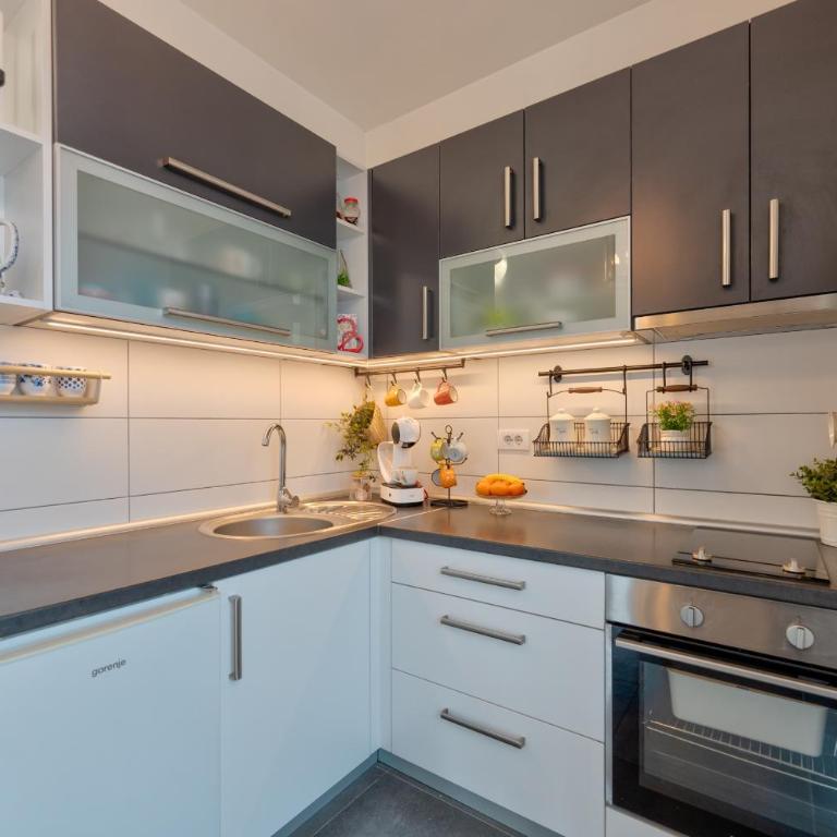 Dorin Kutak Zlatibor - Apartman sa 1 Spavaćom Sobom - 25