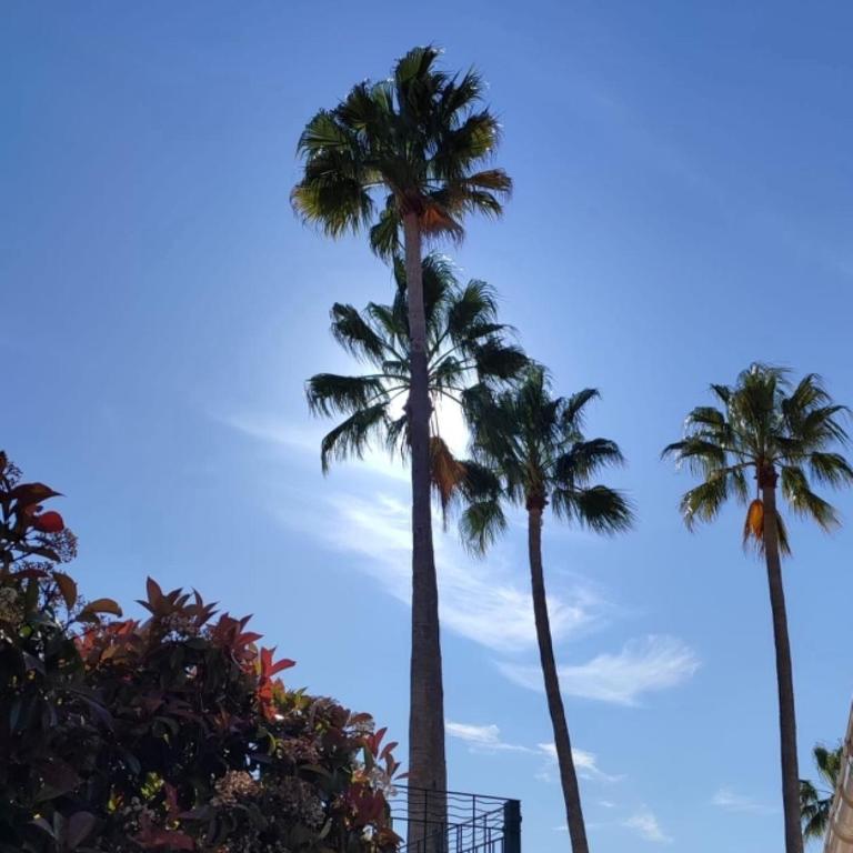 Charmant 2 pièces au cœur des Golfs de Saint Raphael - Appartamento con 1 Camera da Letto - 21