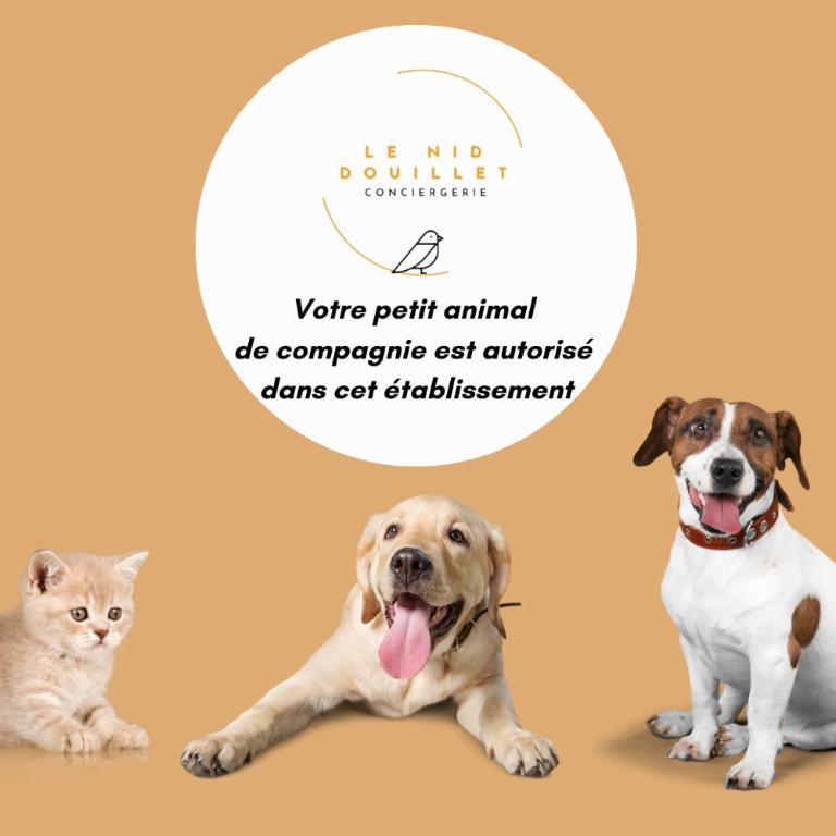 Grand appartement avec jardin privatif à Paris - Apartamento de 3 dormitorios Premium - 11