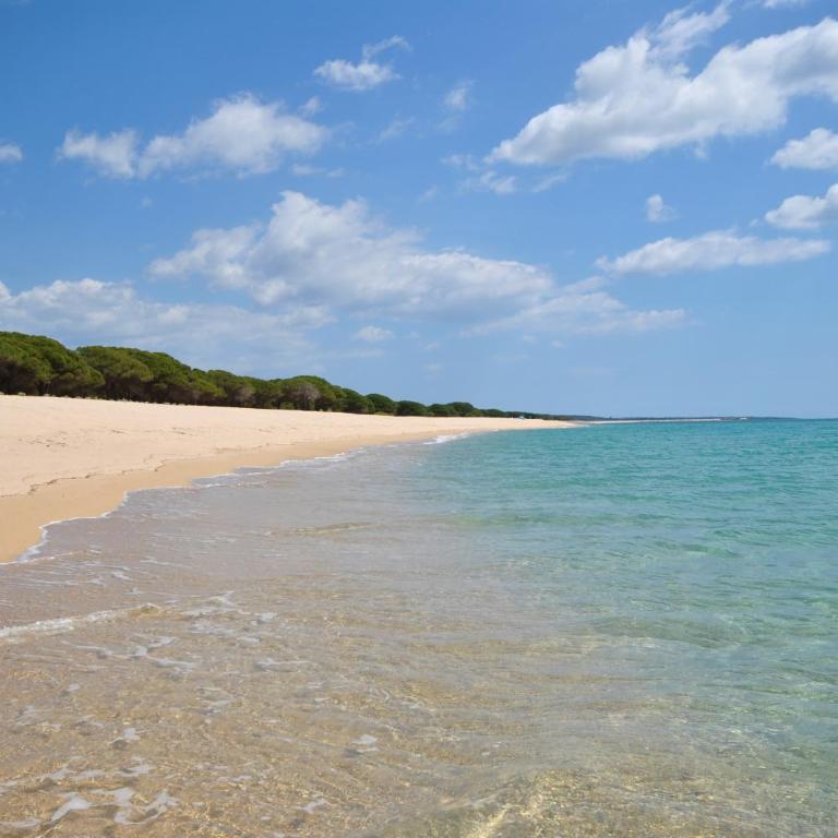 Appartamento lungo via del mare - Appartamento con 1 Camera da Letto - 20