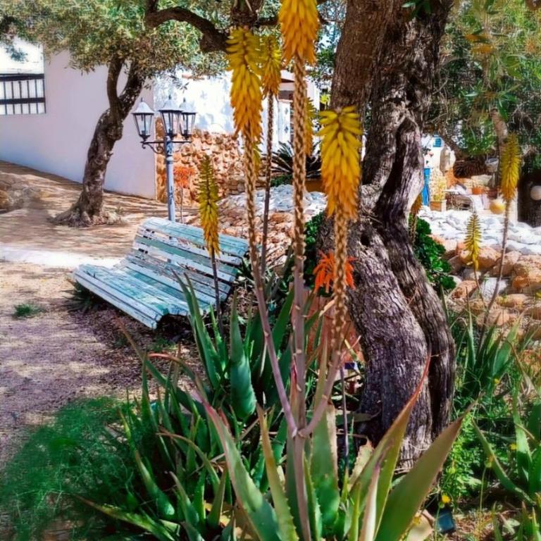 Flaire Mar - Casa de 4 dormitorios - 21
