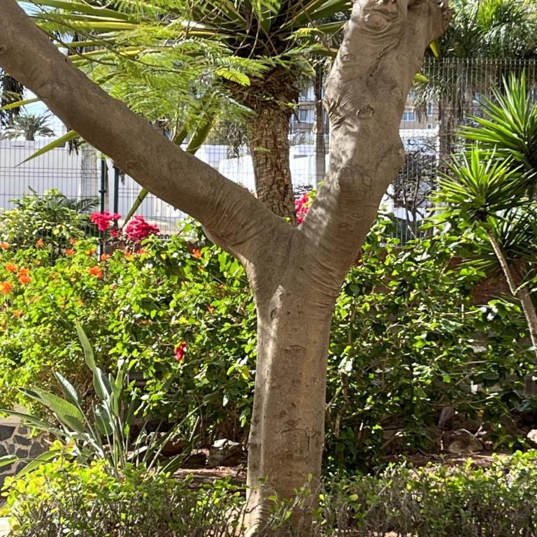 Boutique Penthouse Sea View - Apartamento - 69