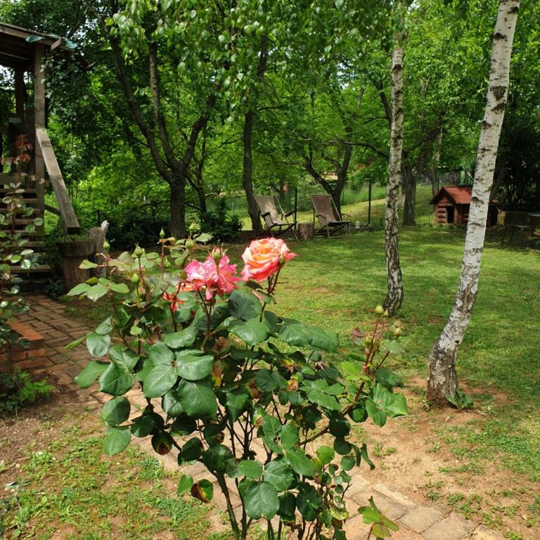 Log cabin - Kuća sa 1 Spavaćom Sobom - 2