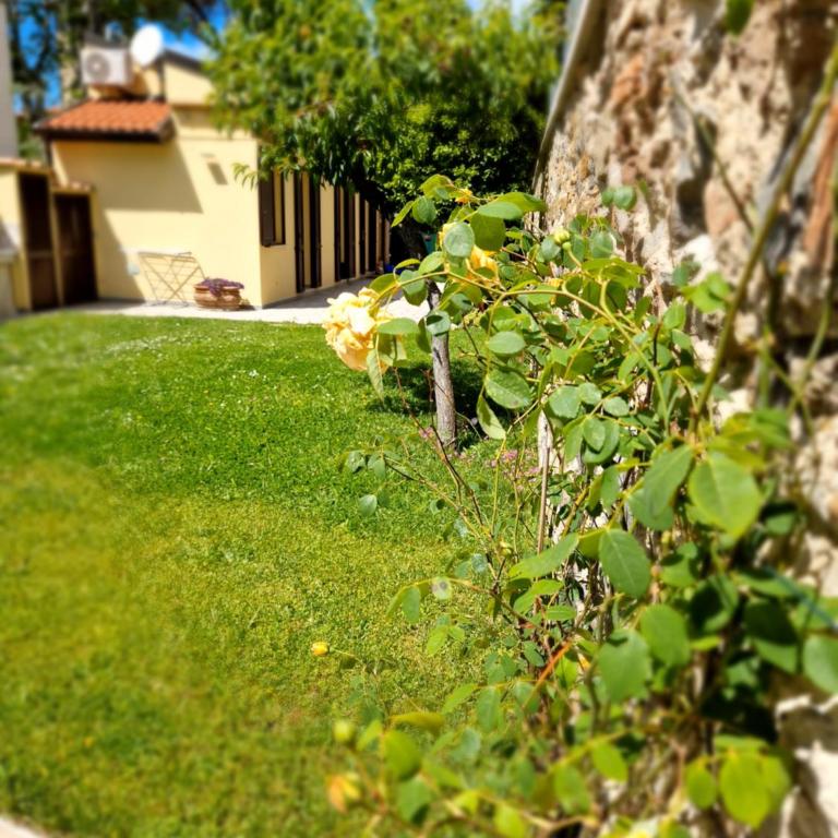Serra di mare casa con giardino - One-Bedroom House - 11