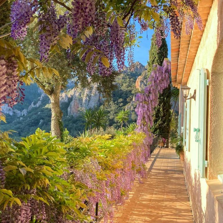 Belle Maison En Pleine Nature - Maison de Vacances 4 Chambres - 29