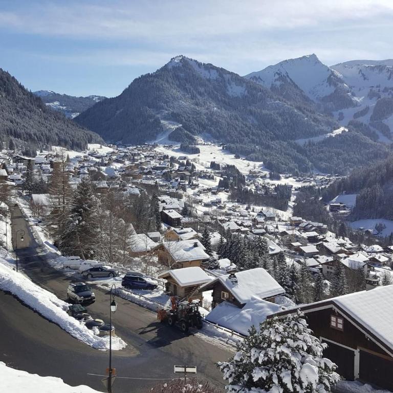 Charmant 3 pièces à Châtel avec balcon, proche pistes et navettes, pour 6 personnes - FR-1-676-62 - Apartment - 9