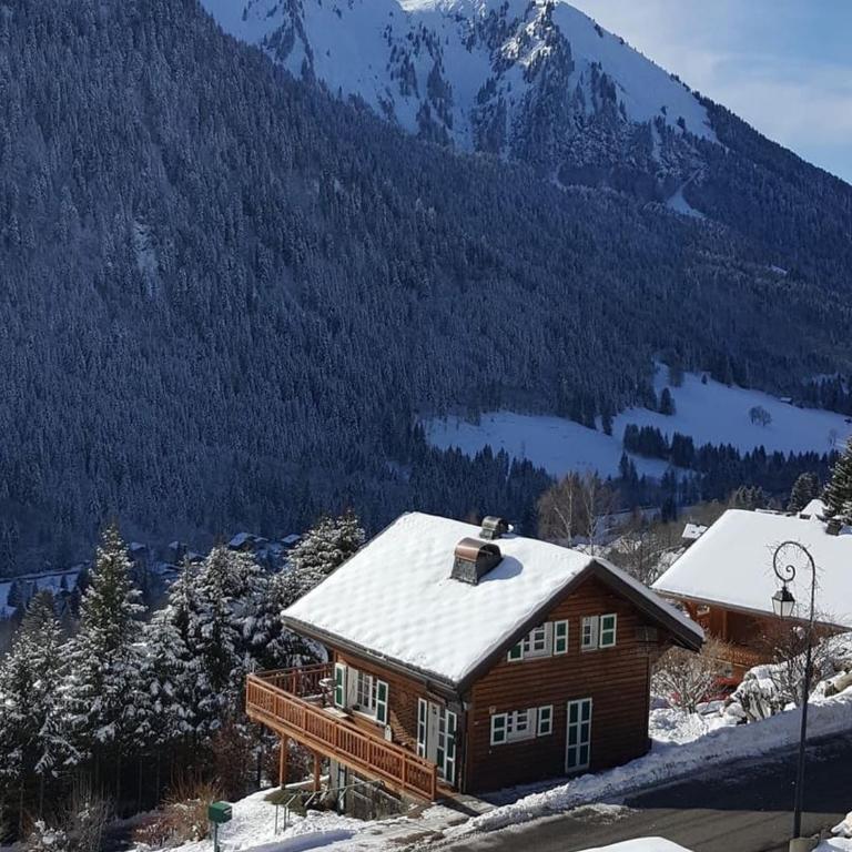 Charmant 3 pièces à Châtel avec balcon, proche pistes et navettes, pour 6 personnes - FR-1-676-62 - Apartment - 10