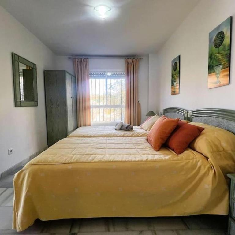 DOÑA PAQUITA - Apartamento - Planta baja - 17