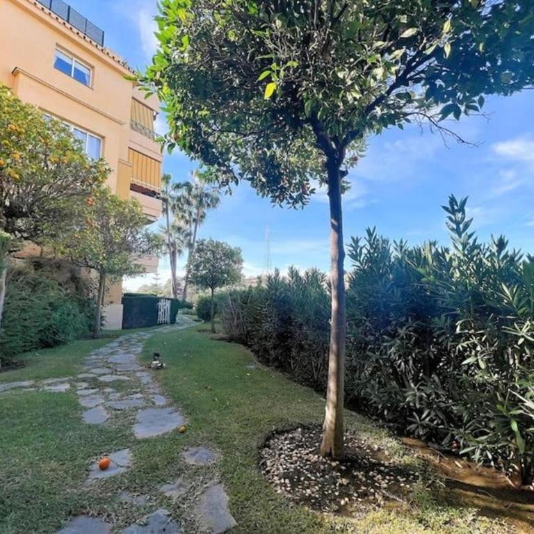 DOÑA PAQUITA - Apartamento - Planta baja - 13