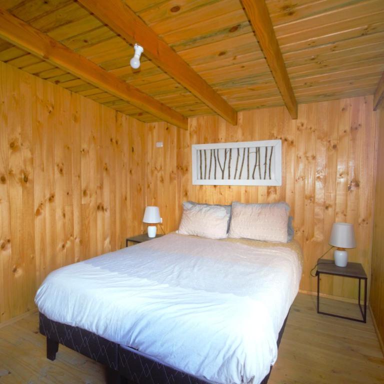 Casa Neltume Huilo Huilo - Casa de 3 dormitorios - 4