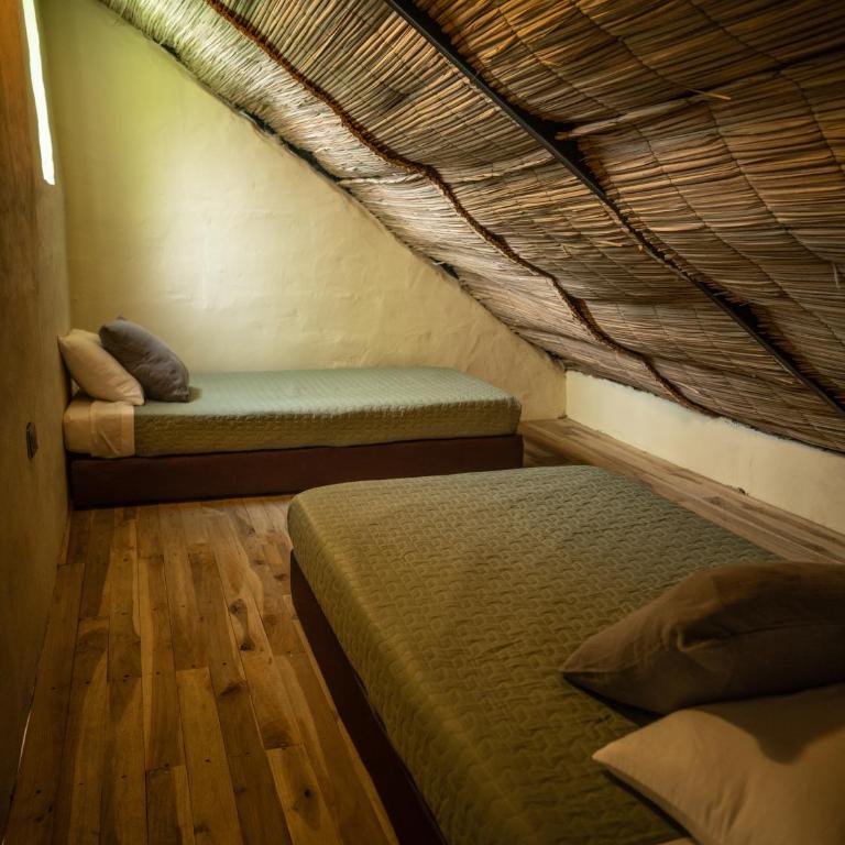Jungla EcoLuxury Resort - Suite Familiar - 1