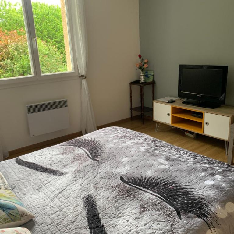 APPARTEMENT LE DOMAINE DES LIBELLULES PROCHE WALIBI - Appartement 1 Chambre - 9