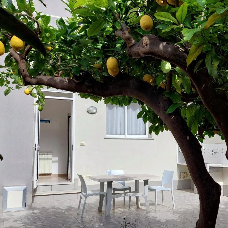 Casa Granata - Apartment with Garden View - 11
