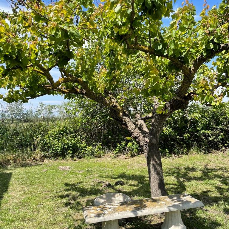 Manade BEC - Villa mit 2 Schlafzimmern - 5
