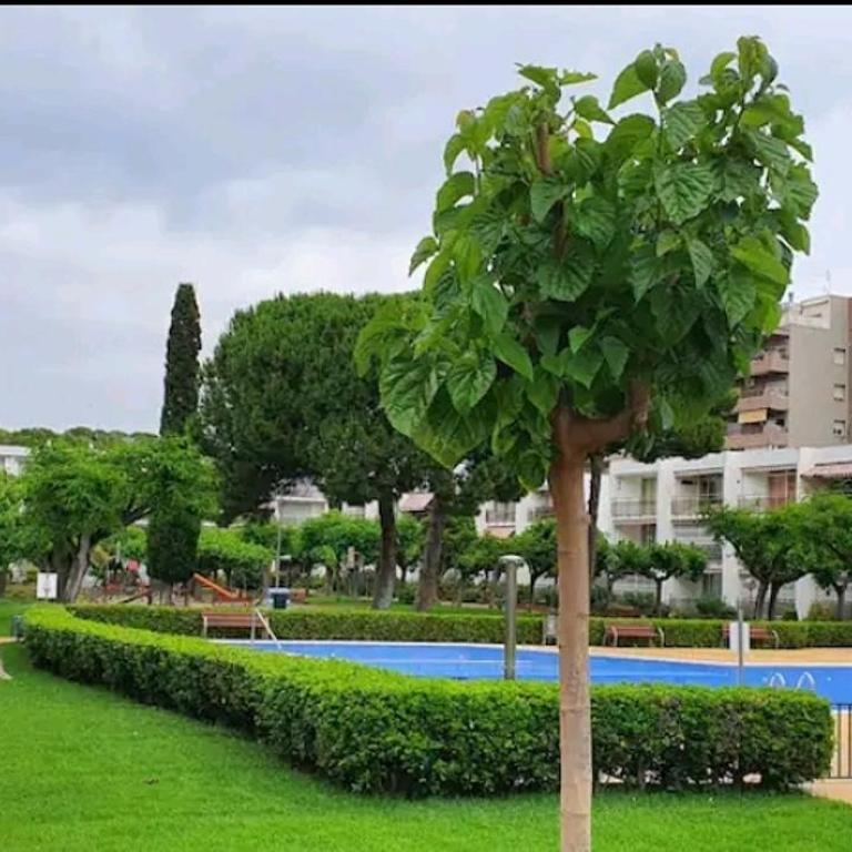 Apartamento Pitarra cerca de Portaventura - Apartamento de 2 dormitorios - 9