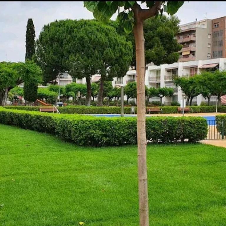 Apartamento Pitarra cerca de Portaventura - Apartamento de 2 dormitorios - 13