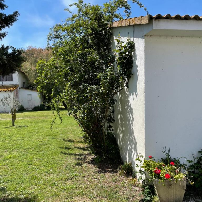 Manade BEC - Villa mit 2 Schlafzimmern - 3