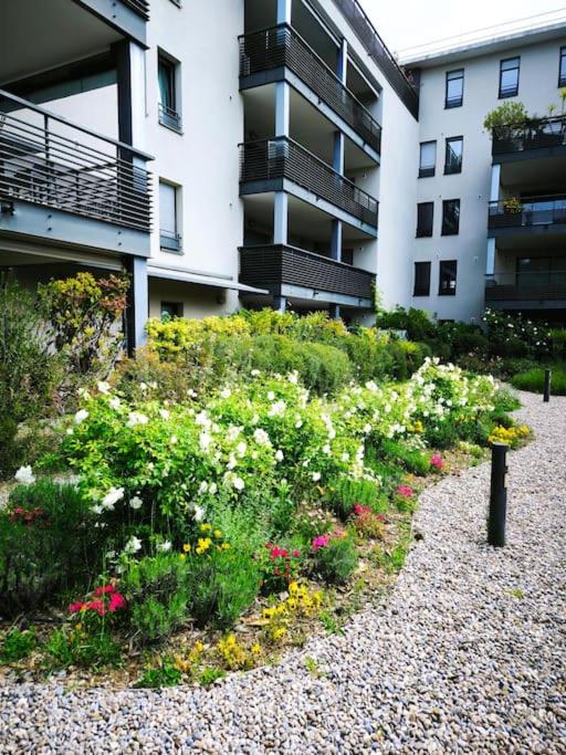 Le jardin d'Aix-en-Provence - Appartement 1 Chambre - 3