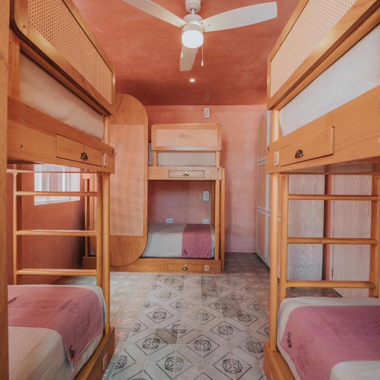 Casa Amate 61 - Mérida centro - Single Bed in Female Dormitory Room - 2