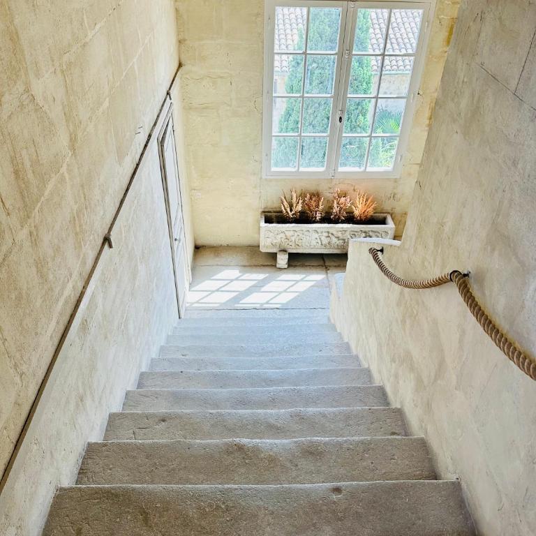 Hôtel de Barrême Monument Historique à Arles charme, confort en hyper centre - One-Bedroom Apartment - 16