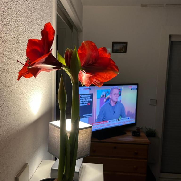 34300 le cap d’Agde - Apartamento de 2 dormitorios - 6