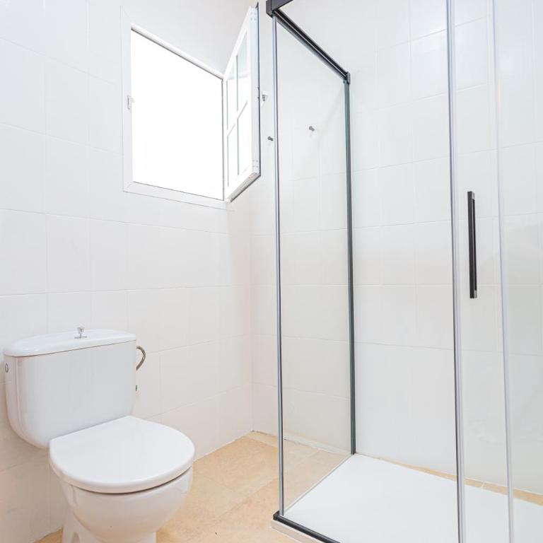 Carril San Diego, junto a la Plaza Cabildo - Apartamento - Planta baja - 3