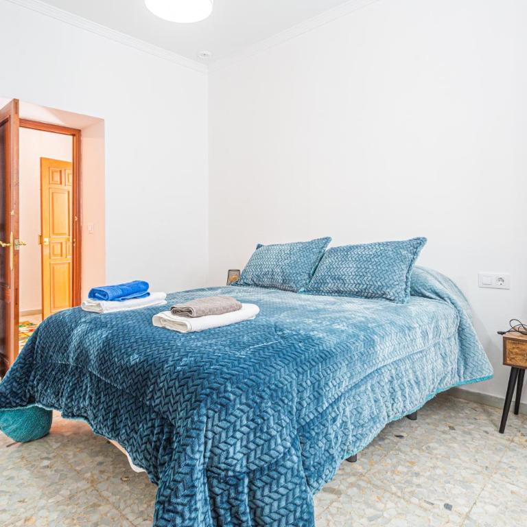 Carril San Diego, junto a la Plaza Cabildo - Apartamento - Planta baja - 23