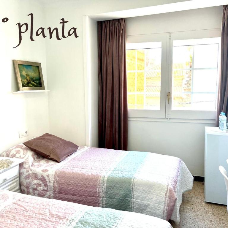 Escondite central con terraza compartida en la azotea - Standard Twin Room - 1