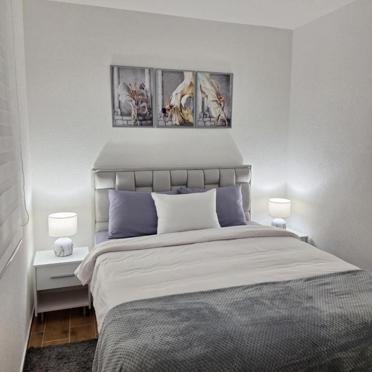 Apartman WIN Sokobanja - Apartman sa 1 Spavaćom Sobom - 11