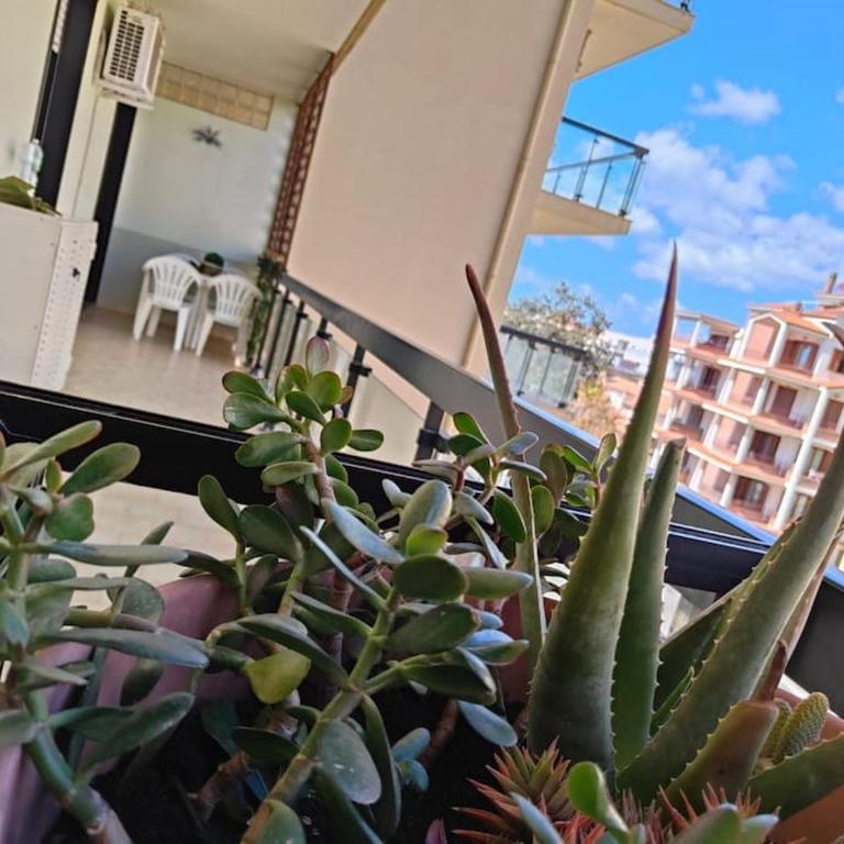 Fartos spiaggia di Alghero - Two-Bedroom Apartment - 13