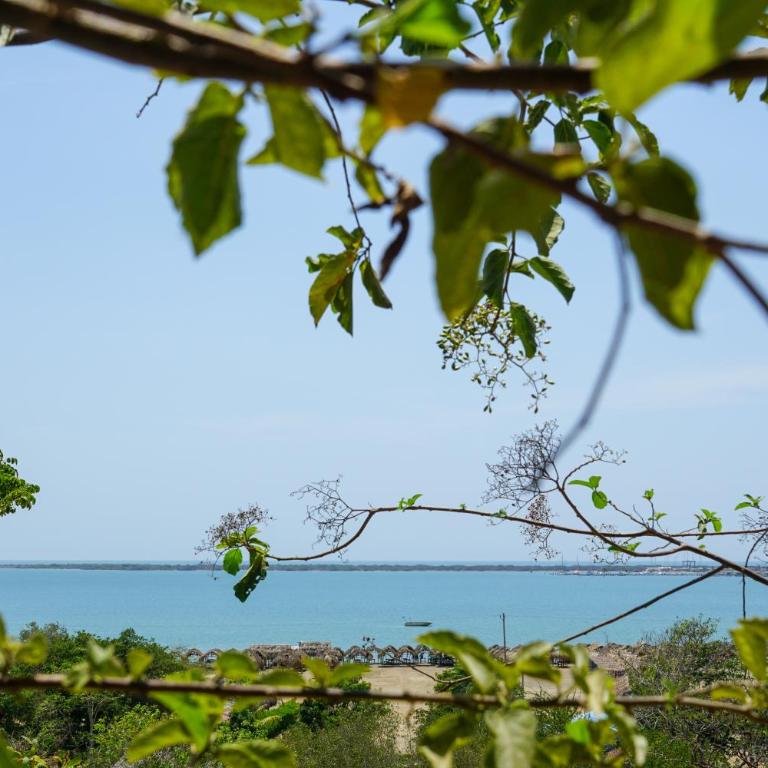 Puerta al Mar Ecolodge Glamping - Bungalow con vistas al mar - 6