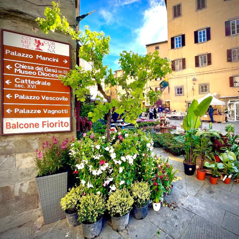 Balcone Fiorito, nel cuore del centro storico di Cortona - Appartamento - 22