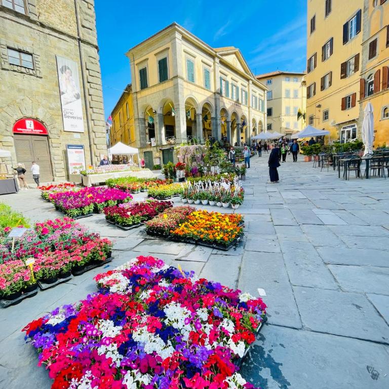 Balcone Fiorito, nel cuore del centro storico di Cortona - Appartamento - 40