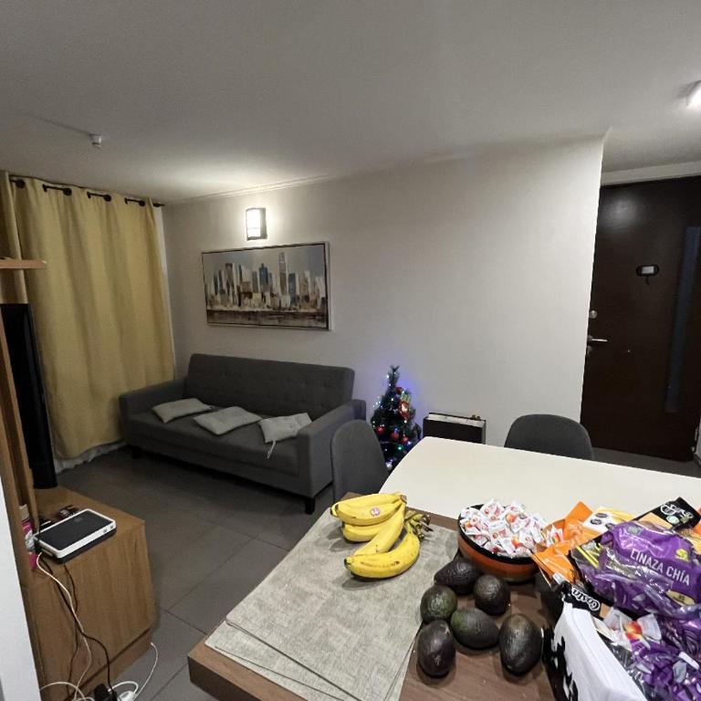 Porvenir - Habitación Individual - 6
