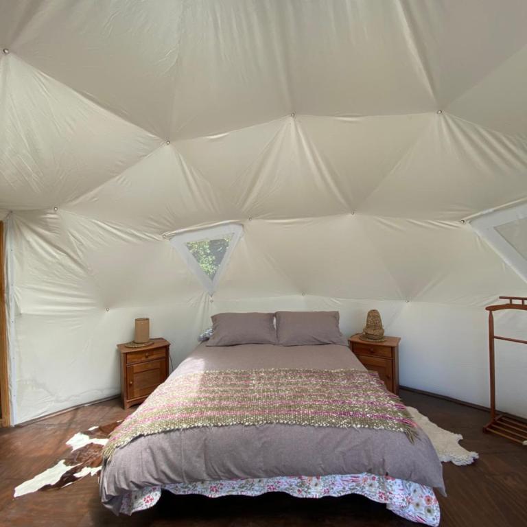El Mallín Domo&Tinaja Caliente#servicio adicional# - Apartamento de 1 dormitorio - 43