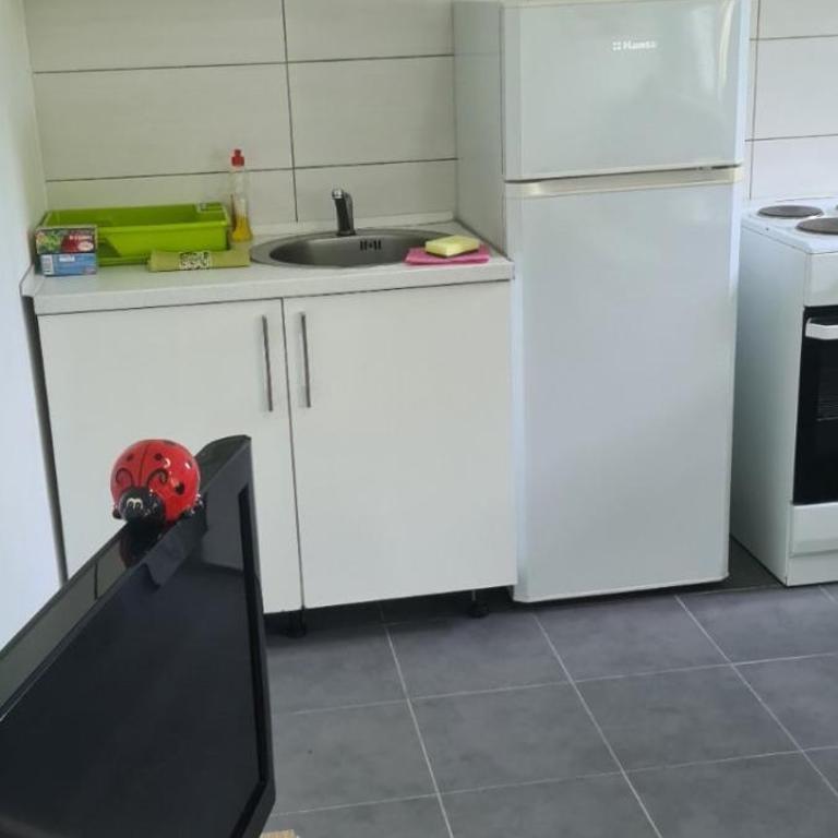 Stan na dan Podgorica - One-Bedroom Apartment - 4