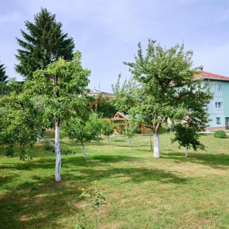 Villa R - Vila s 4 Spavaće Sobe - 35