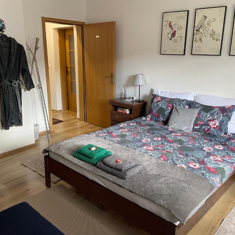 Salam Sarajevo Apartments #HelloPeace - Apartman sa 2 Spavaće Sobe - 11