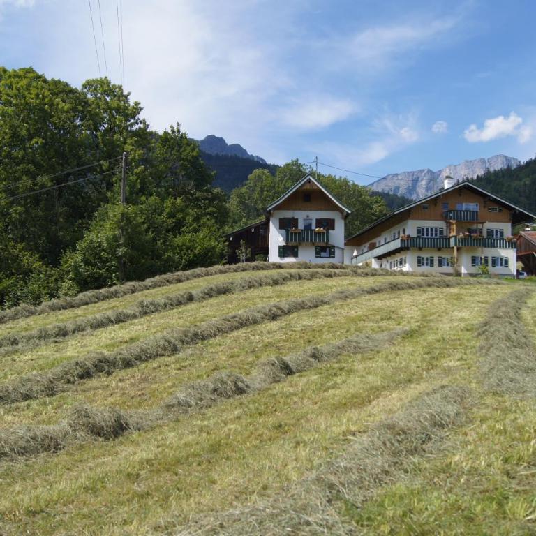 Landhaus Perllehen - Appartement 1 Chambre avec Terrasse - 25