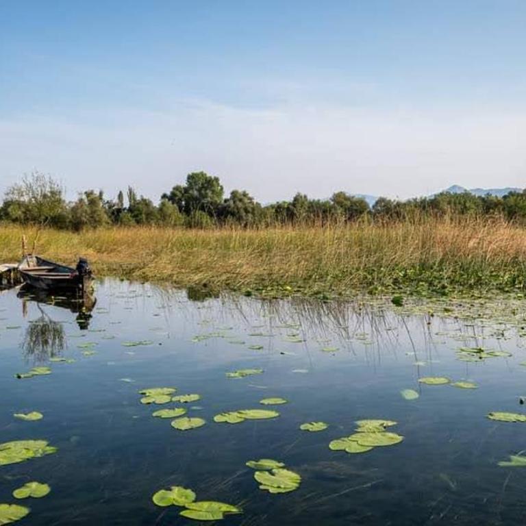 Holiday home Haustor with Skadar lake view - Vacation Home - 98