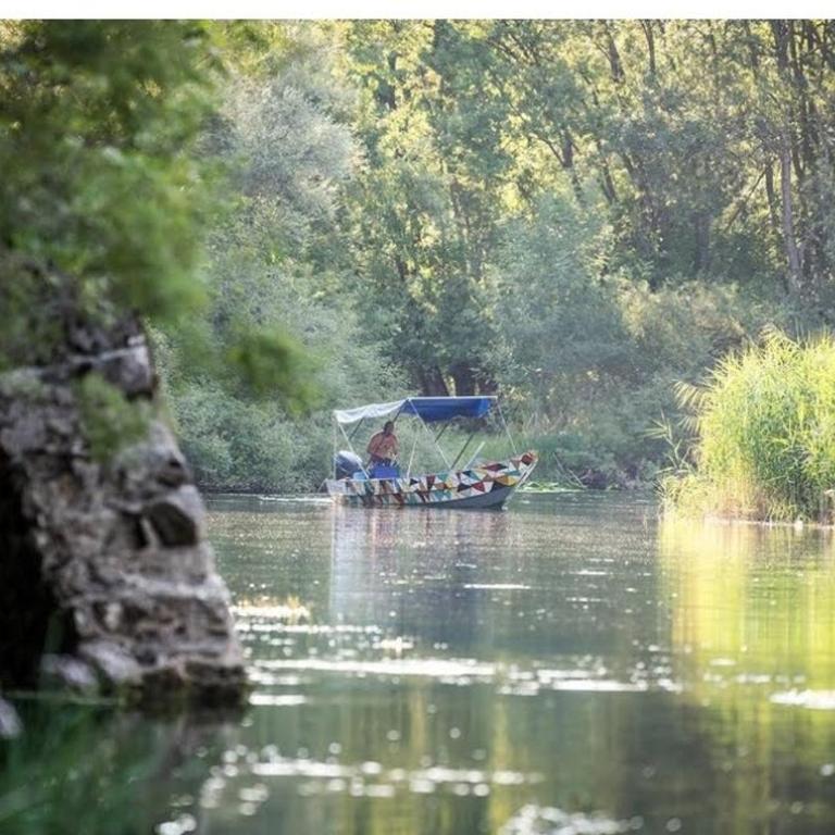 Holiday home Haustor with Skadar lake view - Vacation Home - 82