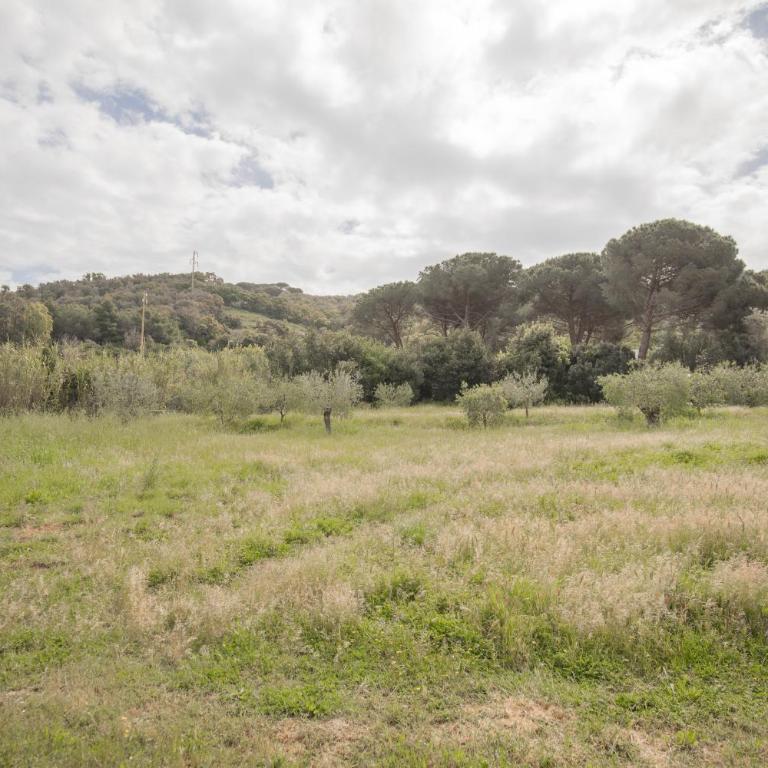 Le Case di Simonetta - HelloElba - One-Bedroom House - 4