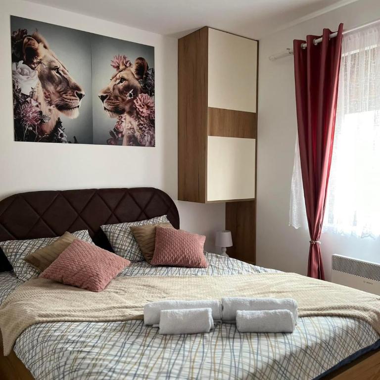 Apartman Akiluz & SPA Zlatibor - Apartman sa 1 Spavaćom Sobom - 1