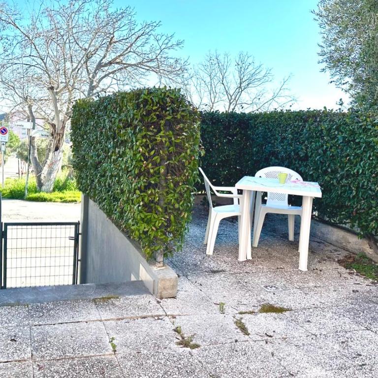 Palme 10 - Marcelli, bilocale con doppio giardino, Residence Le Palme - Appartamento con 1 Camera da Letto - 28