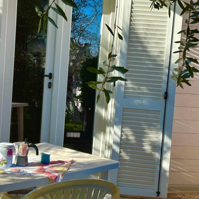 Palme 10 - Marcelli, bilocale con doppio giardino, Residence Le Palme - Appartamento con 1 Camera da Letto - 5
