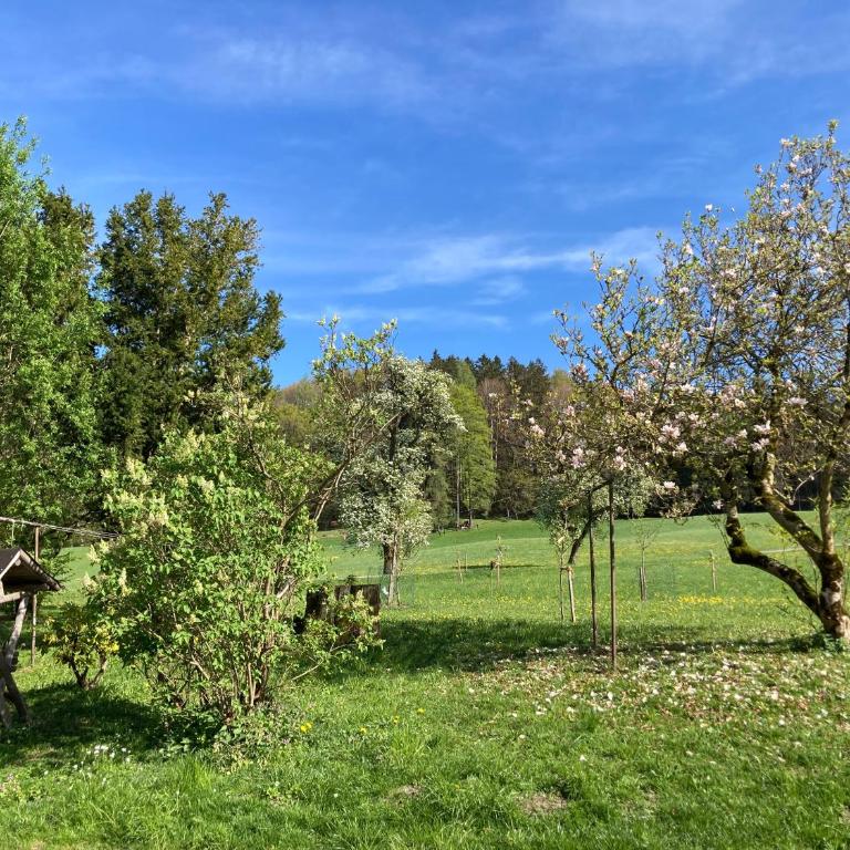 Obereggut - Deluxe Apartment mit 2 Schlafzimmern und Gartenblick - 48