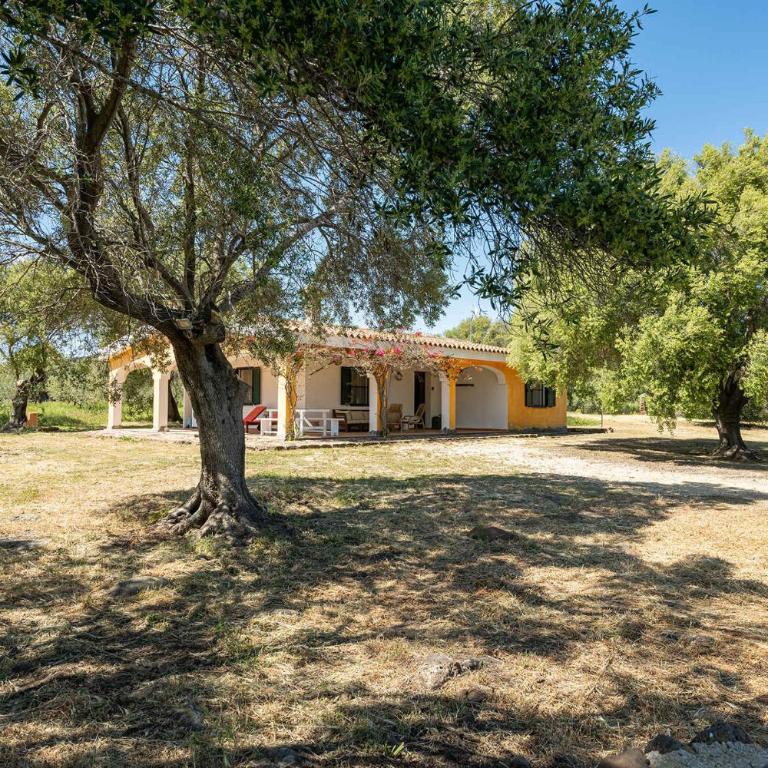 Holiday home in Orosei - Nuoro (Provinz) 48229 - Villa - 3