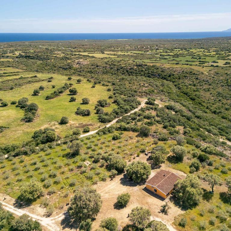 Holiday home in Orosei - Nuoro (Provinz) 48229 - Villa - 23