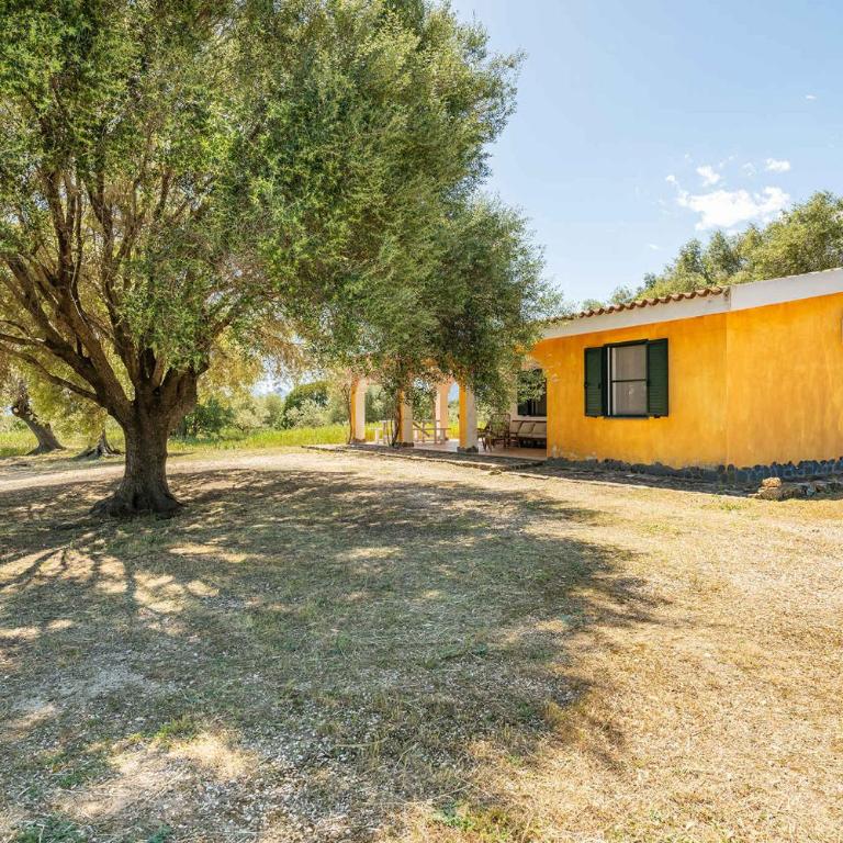 Holiday home in Orosei - Nuoro (Provinz) 48229 - Villa - 24