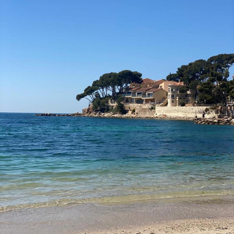 Bandol A Bandol cha cha cha - Appartement - Chambre Double - Vue sur Parc - 44